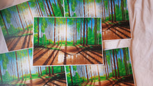 Lade das Bild in den Galerie-Viewer, Wald im Sonnenlicht
