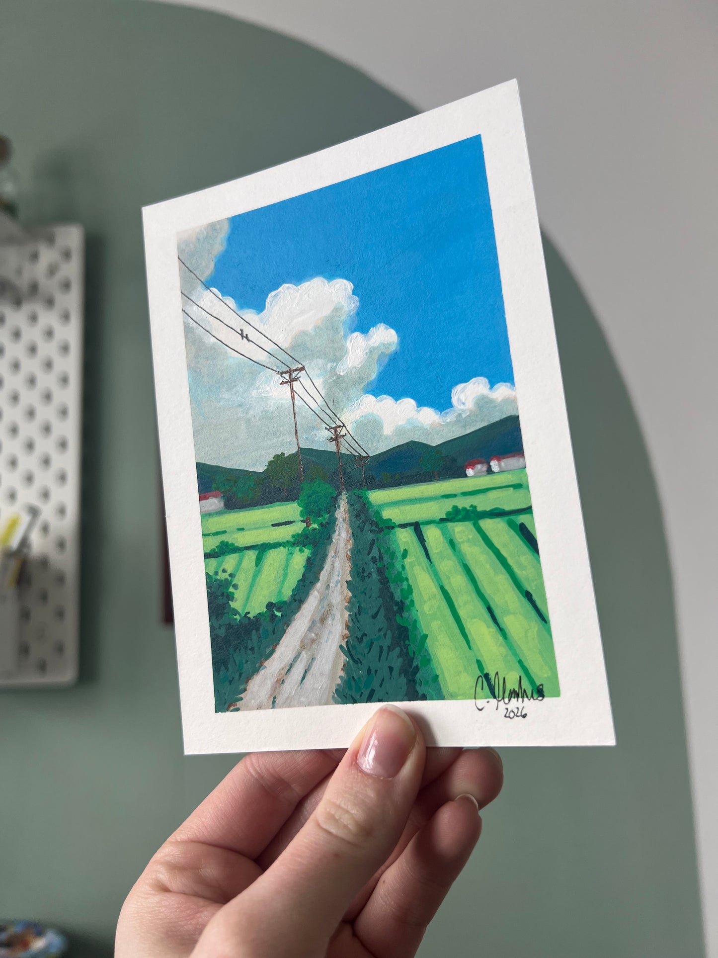 „Reisfelder im Sonnenlicht“
