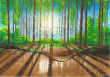 Lade das Bild in den Galerie-Viewer, Wald im Sonnenlicht
